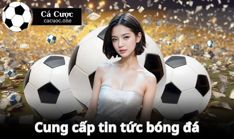 Cung cấp tin tức bóng đá