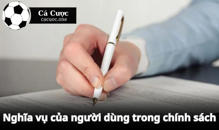 Nghĩa vụ của người dùng trong chính sách