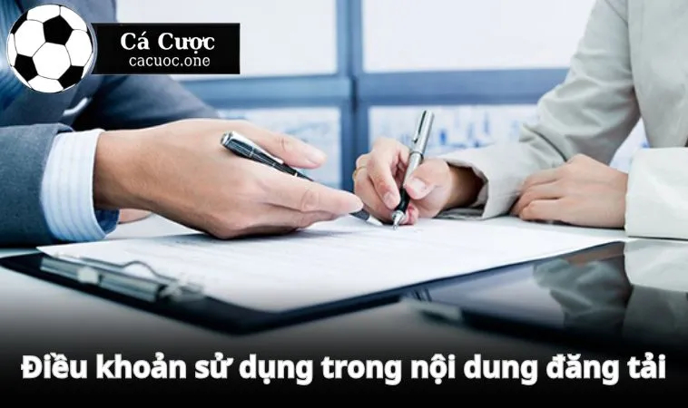 Điều khoản sử dụng trong nội dung đăng tải