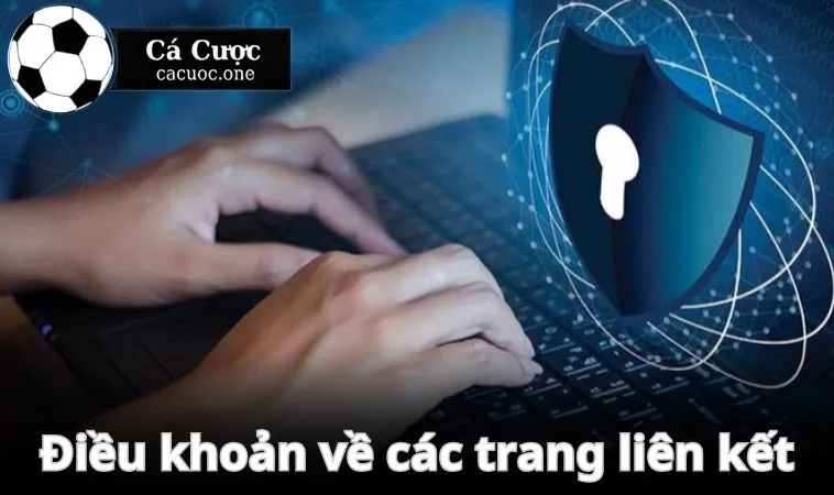 Điều khoản về các trang liên kết