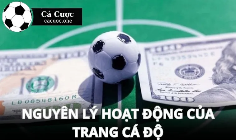 Các trang cá độ ra kèo như thế nào?