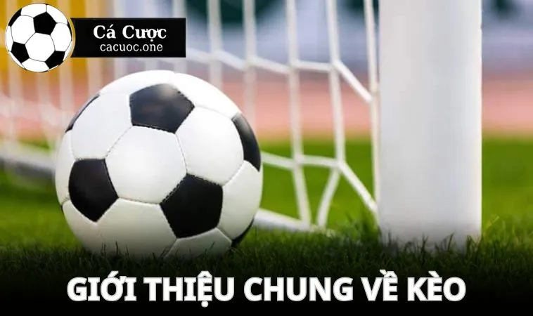 Giới thiệu chung về kèo