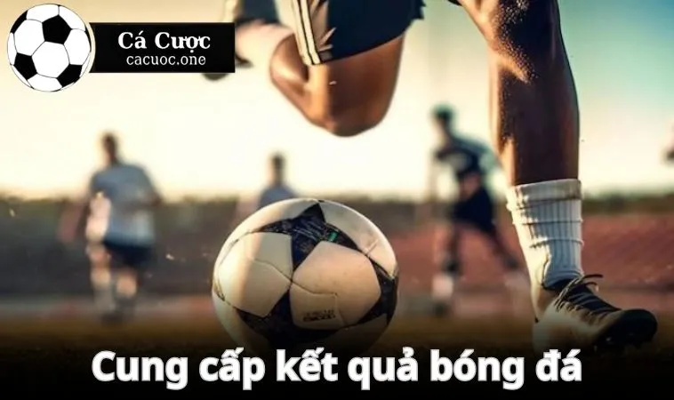 Trang Cá Cược cung cấp kết quả bóng đá nhanh chóng