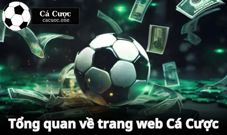 Tổng quan về trang web chuyên cung cấp thông tin Cá Cược