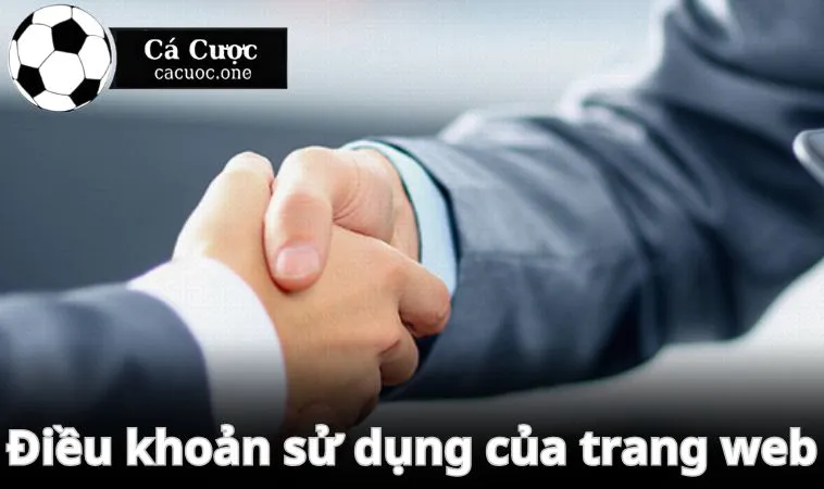 Giới thiệu điều khoản sử dụng của trang web