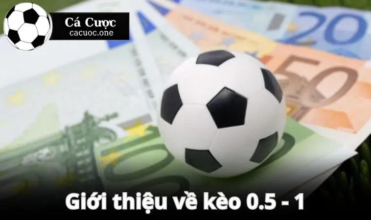 Vài nét giới thiệu chung về 0.5 - 1 là gì?