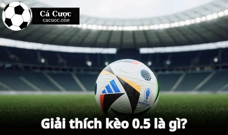 Giải thích về câu hỏi kèo 0.5 là gì?