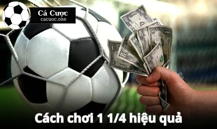 Kèo 1 1/4 là gì? Giải thích chi tiết