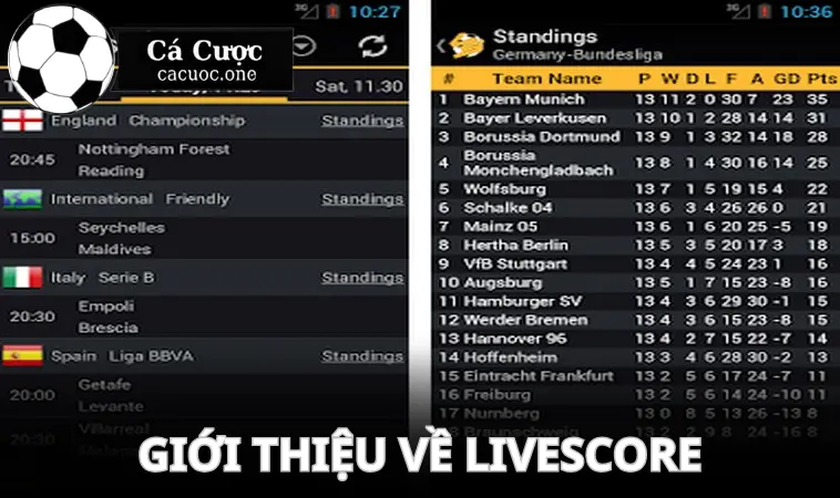 Tìm hiểu chung về livescore là gì?